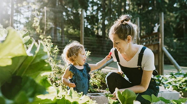 Gardening