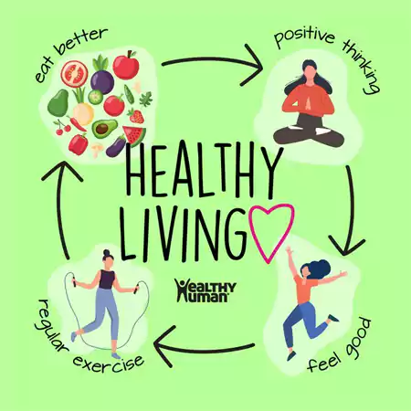 Live a Healthy Life with Liveamoment org