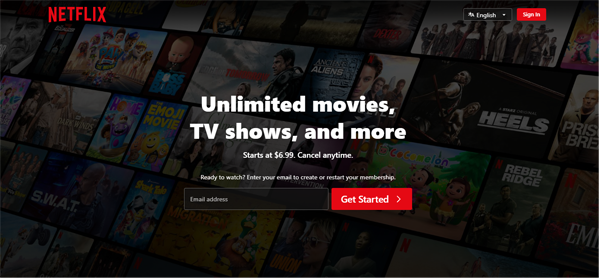 Netflix interface