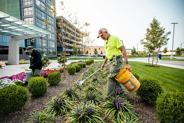 Landscaping and Exterior Maintenance of commercial building 