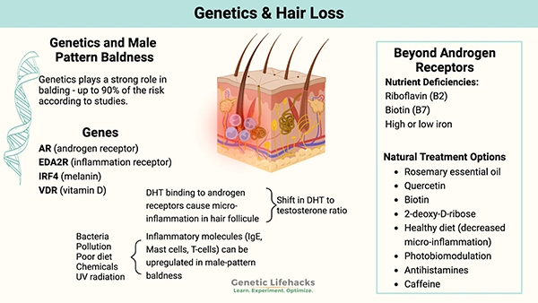 Genetics and hair loss