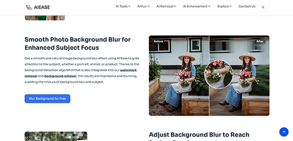 Use cases of AI Ease’s Free Background Tool