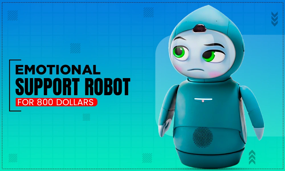 emotional support robot for 800 dollars